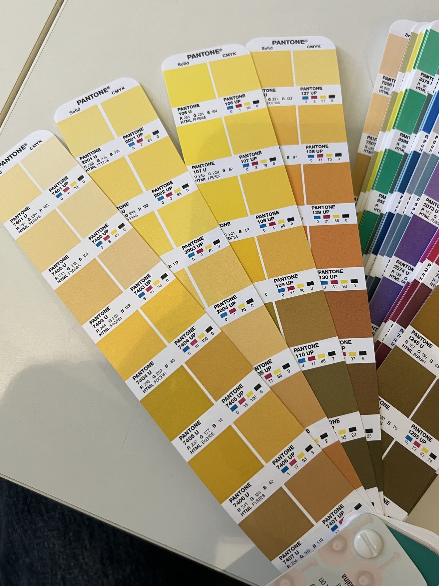 Choosing the Erha yellow from Pantone colour samples